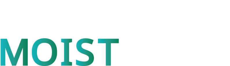 MAGNETHairProDRYER MOIST